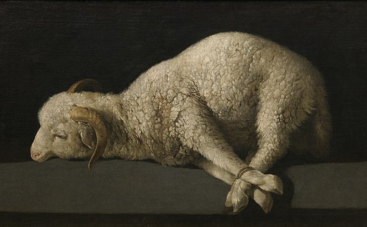 Francisco de Zurbaran – Agnus Dei